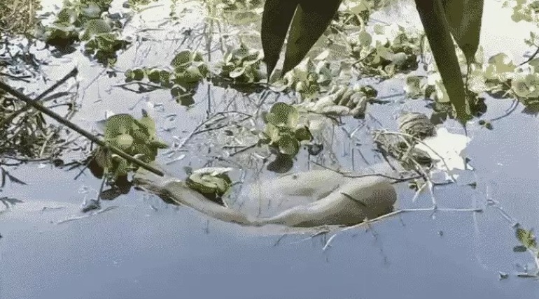 बेटा लड़की लेकर भागा, पिता की नाले में मिली लाश, घर में लगा ताला