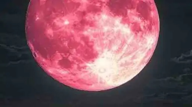 शाम से दिखेगा ‘पिंक मून’, बिना किसी इक्विपमेंट के आएगा नजर, ज्यादा खूबसूरत दिखेगा चांद