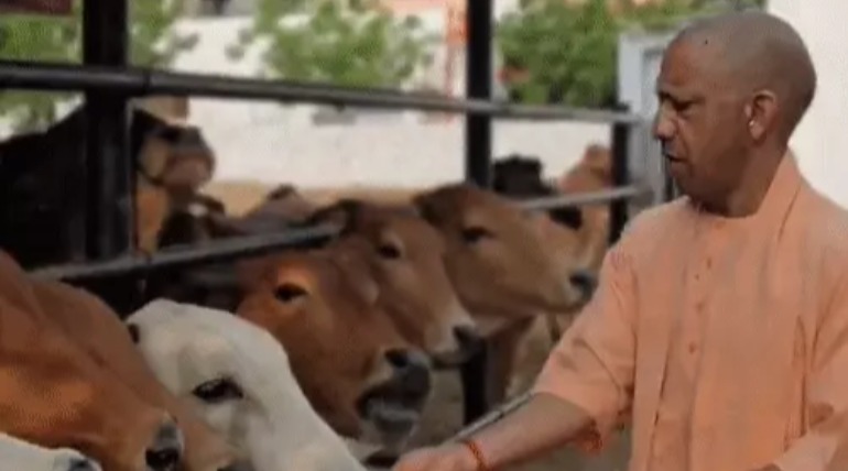 कल गोरखपुर आएंगे मुख्यमंत्री योगी आदित्यनाथ, दो दिन रहेंगे, 300 करोड़ से अधिक की विकास परियोजनाओं की देंगे सौगात