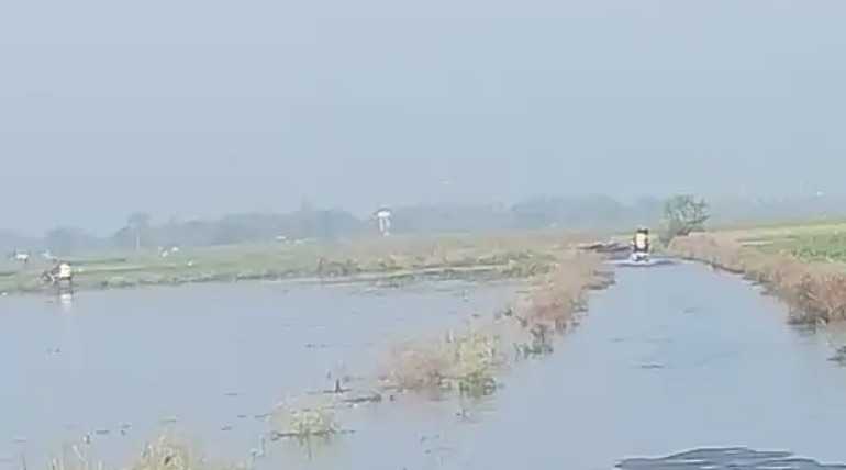 फुलवरिया-चिउटीजाम मार्ग पर दो फुट पानी भरा, आवागमन ठप, दर्जन भर गांवों के लोग परेशान
