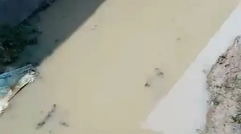 डोहरिया कला में विकास कार्यों की 3 मांगें, DM से सीसी सड़क